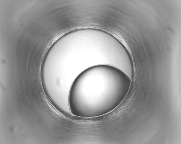 X0000090950389200708021106