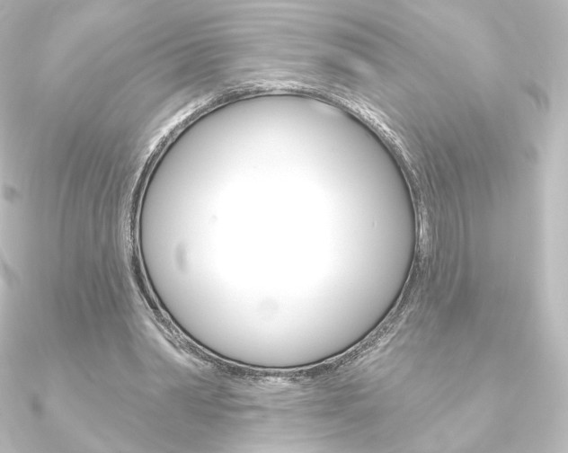 X0000090950390200708021106