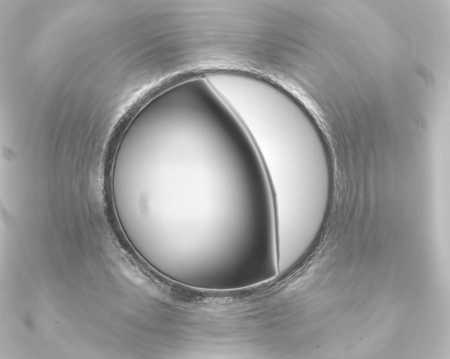 X0000090950391200708021106
