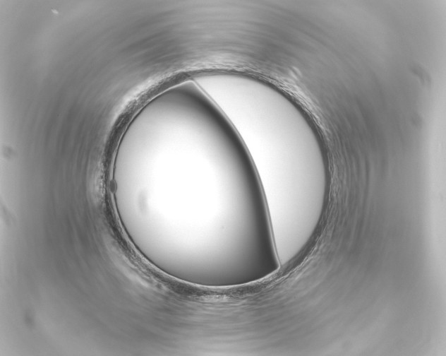 X0000090950392200708021106