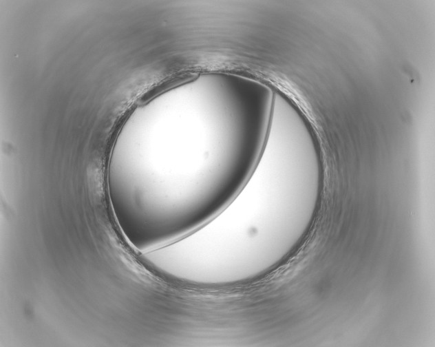 X0000090950393200708021106