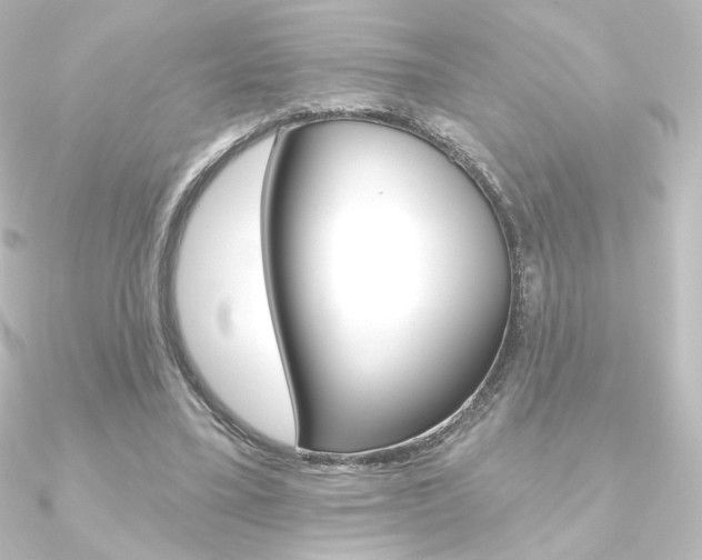X0000090950395200708021106