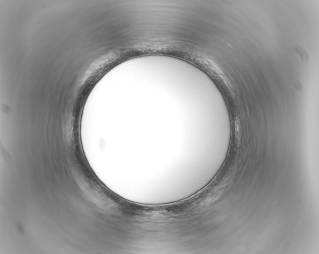 X0000090950396200708021106
