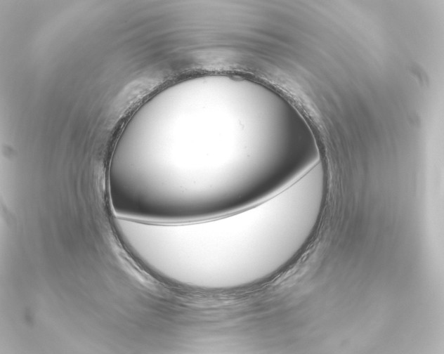 X0000090950397200708021106