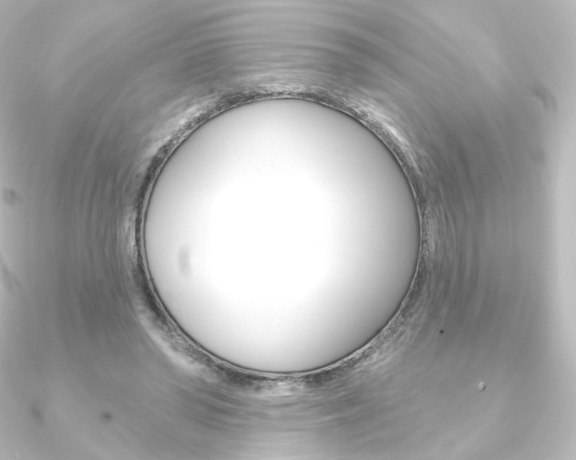 X0000090950398200708021106