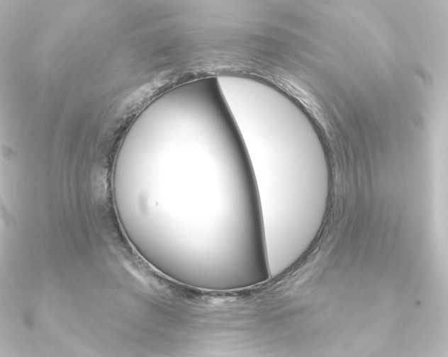 X0000090950401200708021106
