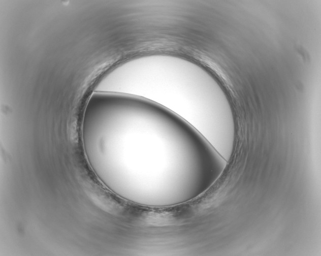 X0000090950403200708021105