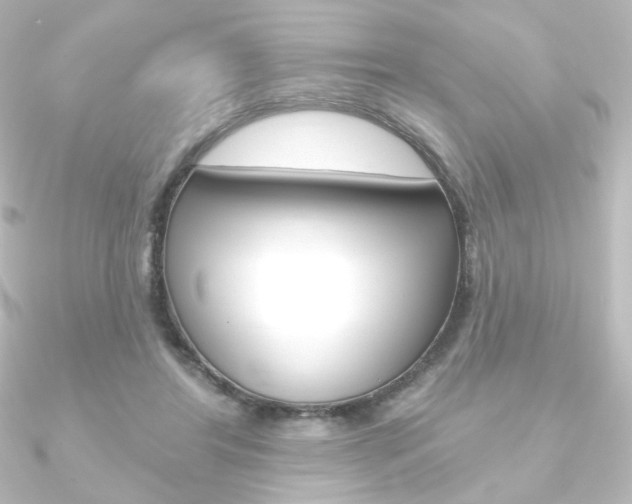 X0000090950404200708021105