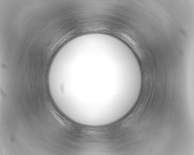 X0000090950405200708021105