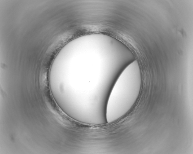 X0000090950406200708021105