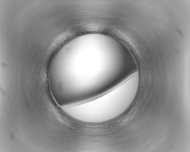 X0000090950407200708021105