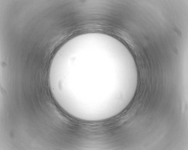 X0000090950411200708021105