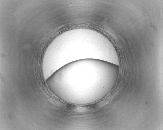 X0000090950413200708021105