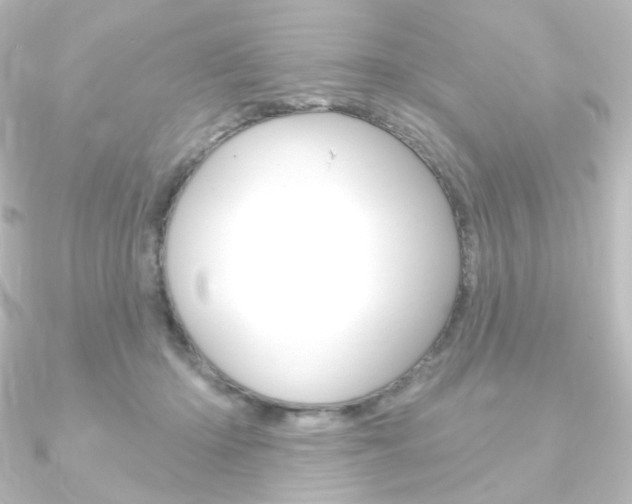 X0000090950414200708021105