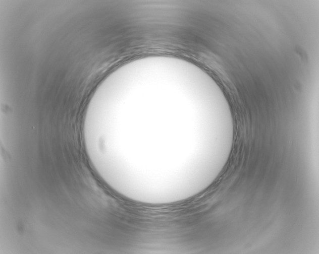 X0000090950415200708021105