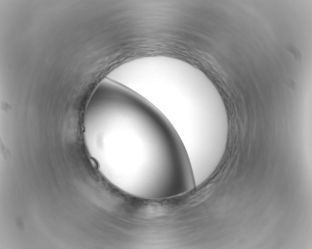 X0000090950416200708021105