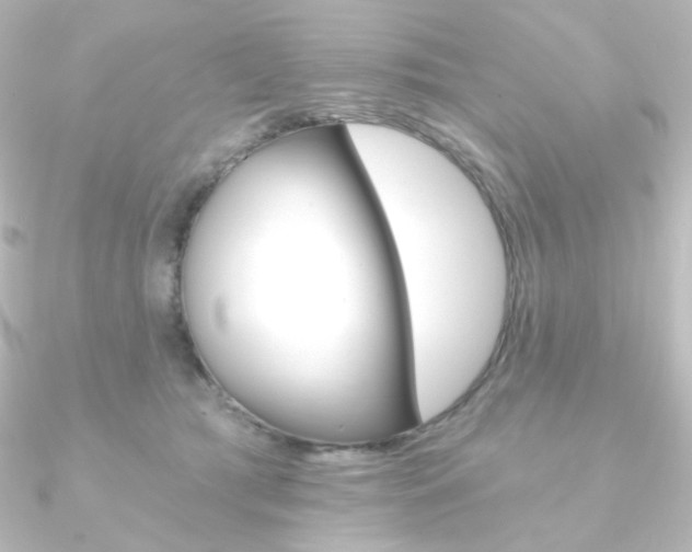 X0000090950417200708021105