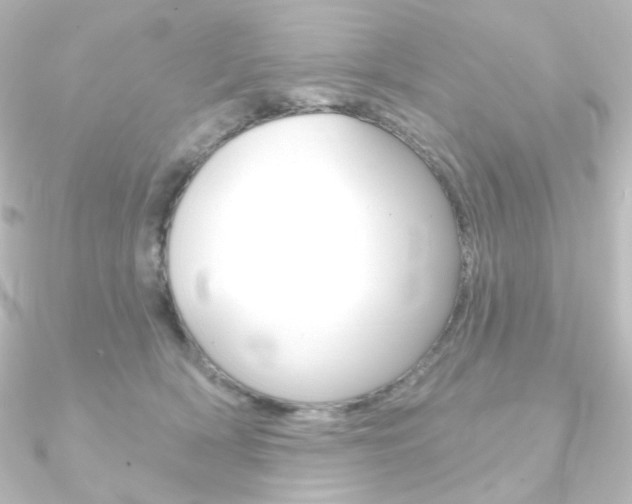 X0000090950418200708021105