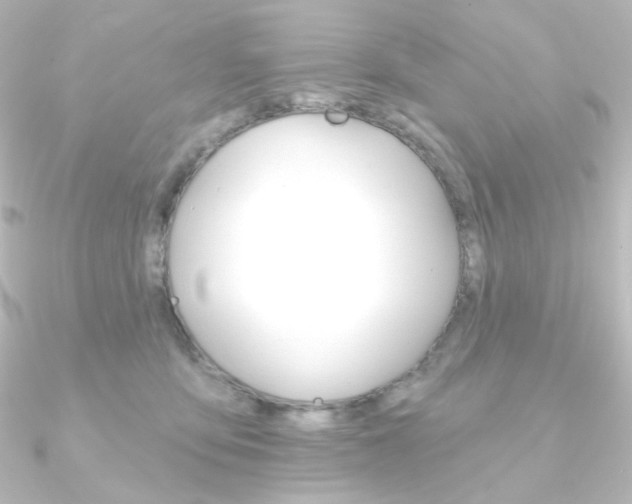 X0000090950419200708021105