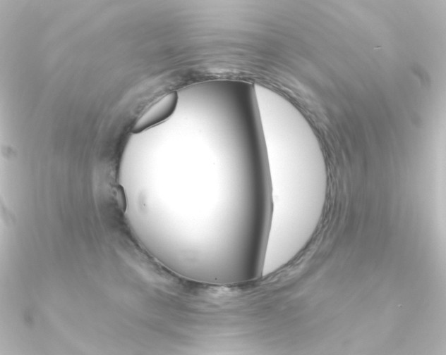 X0000090950421200708021105