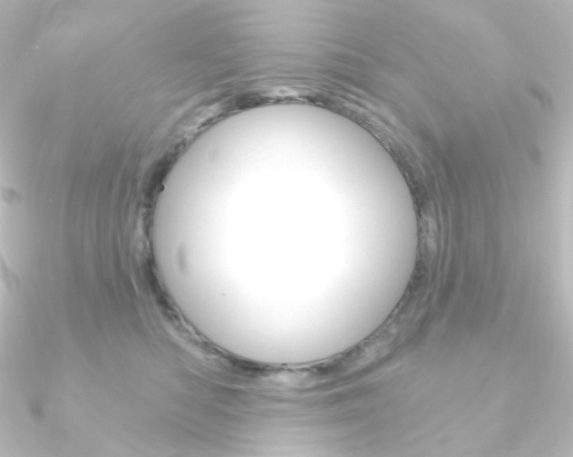 X0000090950422200708021105