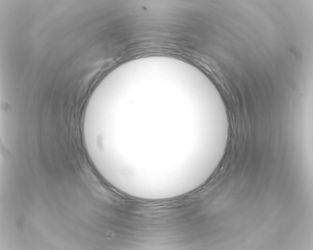 X0000090950423200708021105