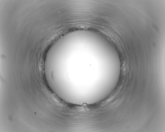 X0000090950424200708021105
