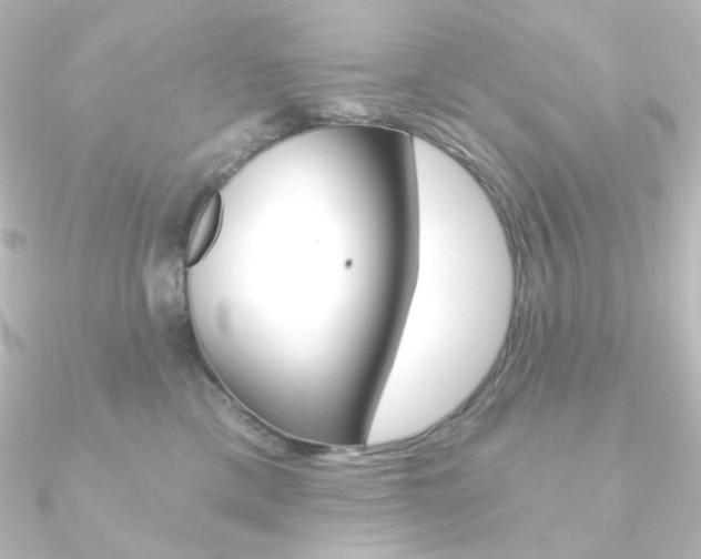 X0000090950425200708021105