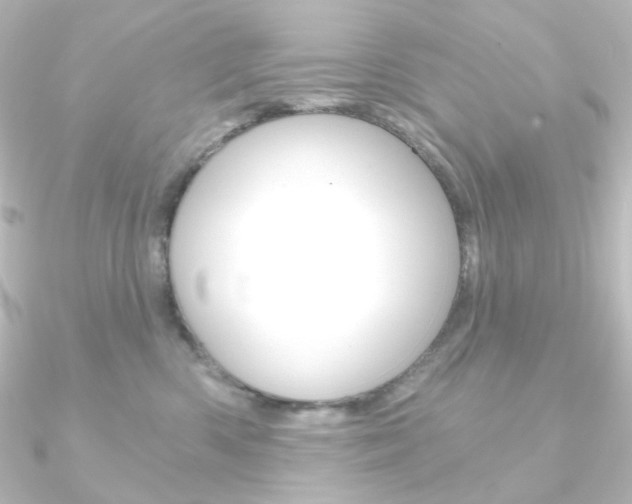 X0000090950426200708021105