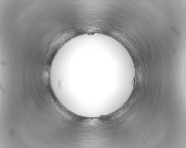 X0000090950427200708021105