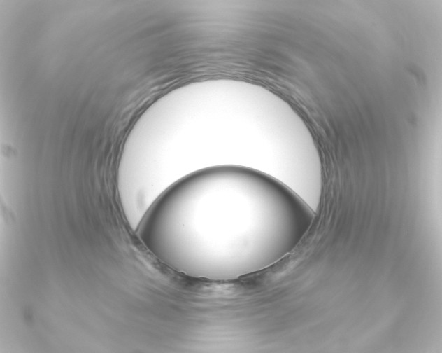 X0000090950428200708021105