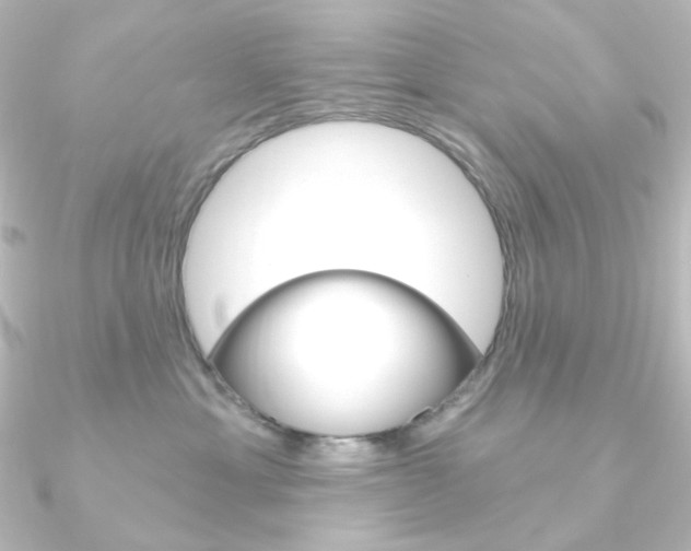 X0000090950429200708021105