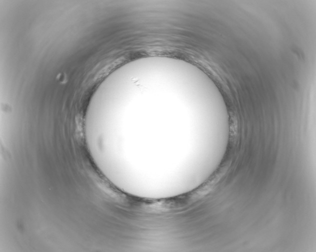 X0000090950430200708021105