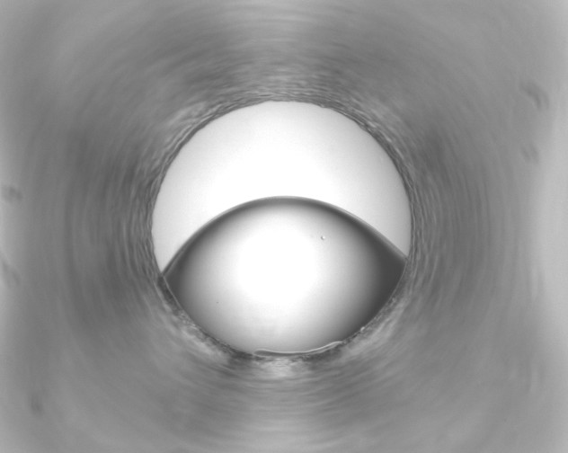 X0000090950432200708021105
