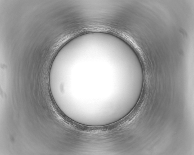 X0000090950433200708021104