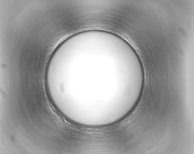 X0000090950434200708021104
