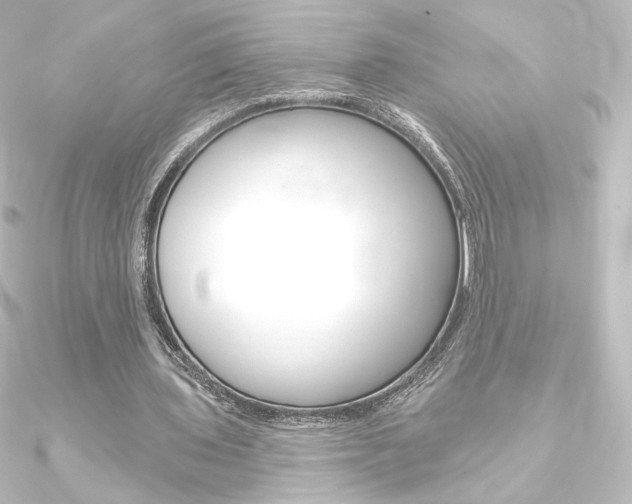 X0000090950435200708021104