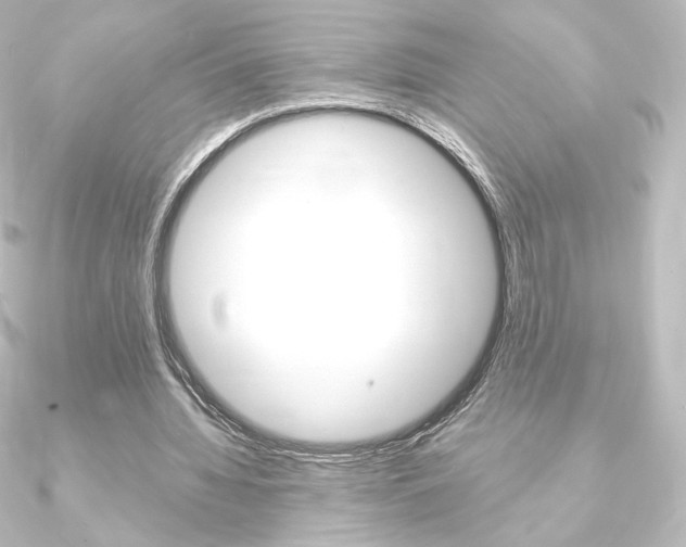 X0000090950436200708021104