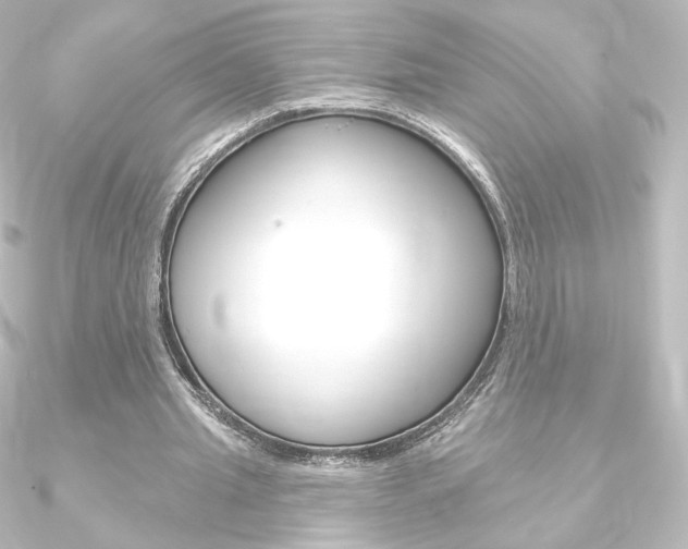 X0000090950437200708021104
