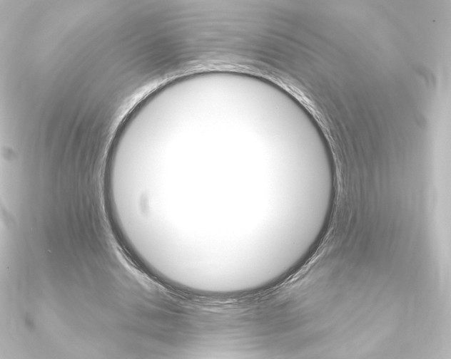 X0000090950438200708021104