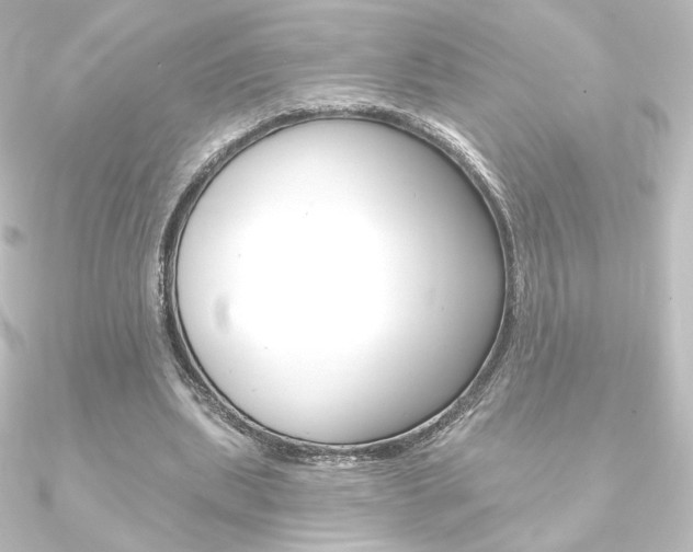 X0000090950439200708021104