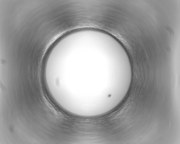 X0000090950440200708021104