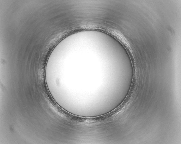 X0000090950441200708021104