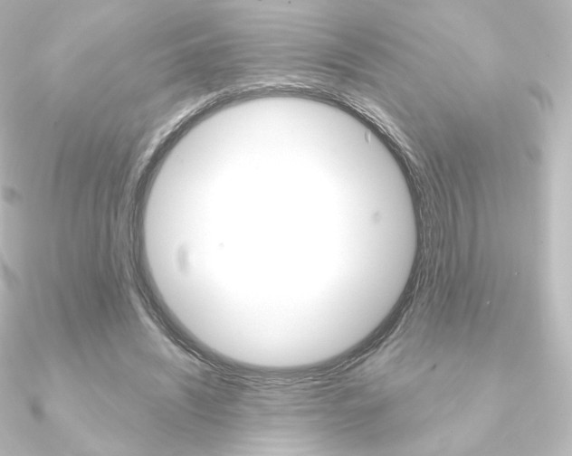 X0000090950444200708021104