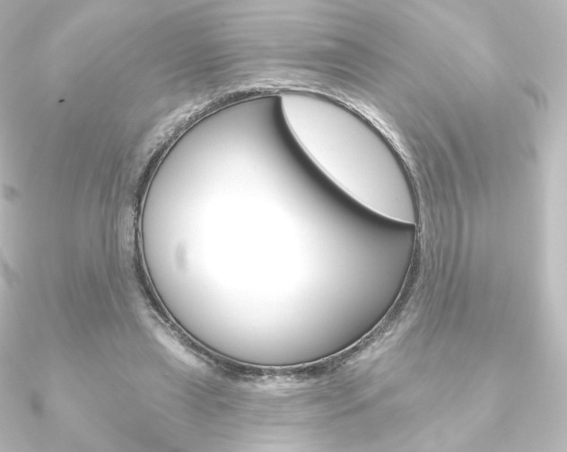 X0000090950445200708021104