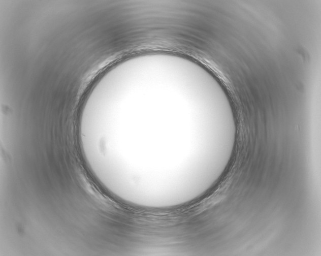X0000090950446200708021104