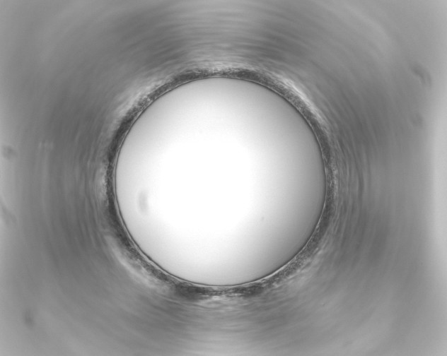 X0000090950447200708021105