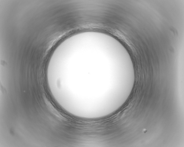 X0000090950448200708021105