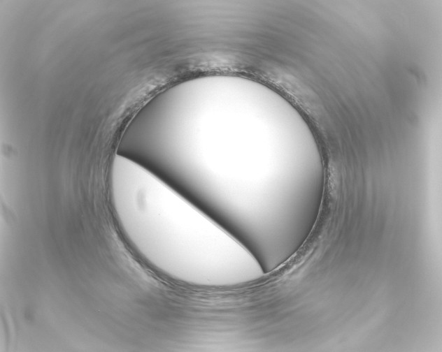 X0000090950449200708021105