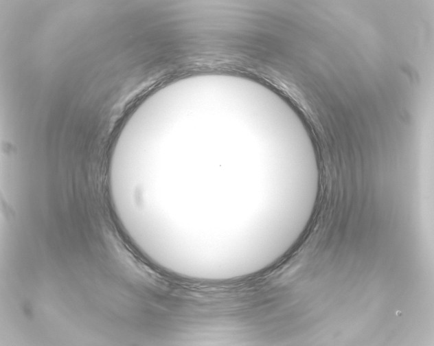 X0000090950450200708021105